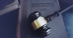 Business Immigration